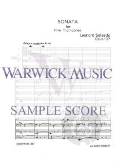 Sonata von Salzedo 