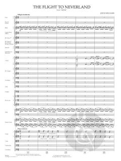 The Flight to Neverland from Hook von John Williams 