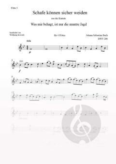 Schafe können sicher weiden von Johann Sebastian Bach 