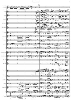 Konzert für Trompete und Blasorchester von Tomaso Albinoni (Download) 