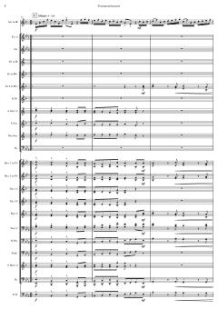 Konzert für Trompete und Blasorchester von Tomaso Albinoni (Download) 