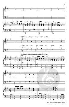 The Solemn Shadows von Joseph M. Martin (Download) 