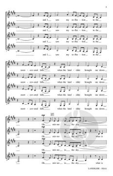 Landslide von Stevie Nicks (Download) 