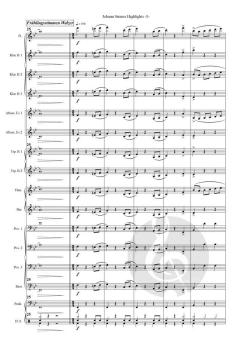 Johann Strauss Highlights von Johann Strauss (Sohn) (Download) 