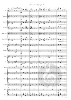Johann Strauss Highlights von Johann Strauss (Sohn) (Download) 