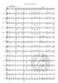 Johann Strauss Highlights von Johann Strauss (Sohn) (Download) 