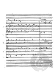 Kammersymphonie 'Himmlische Idylle' von Waldemar von Baußnern 