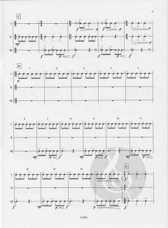 Sud America speed von Gerard Berlioz 
