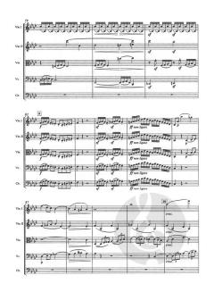 Streichquartett f-moll op. 95 von Ludwig van Beethoven 