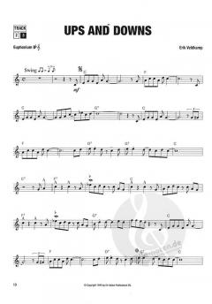 Steven in Jazz, Rock & Latin von Erik Veldkamp 