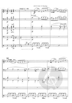 Concerto d'Amore von Jacob de Haan 