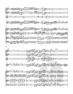 Konzert Nr. 2 D-Dur KV 211 von Wolfgang Amadeus Mozart 
