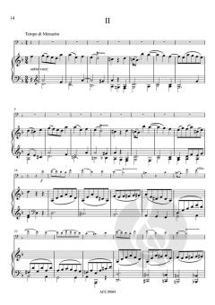 Sonate d-moll nach der Violinsonate KV 304 von Wolfgang Amadeus Mozart 