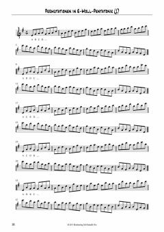 Themenreihe Improvisation: Pentatonik von Joe Degado (Download) 