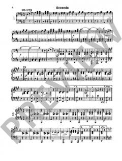 Meine Strauss-Walzer von Johann Strauss (Sohn) 
