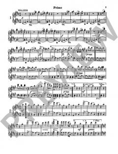Meine Strauss-Walzer von Johann Strauss (Sohn) 