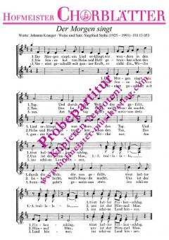 Der Morgen singt (Siegfried Stolte) 