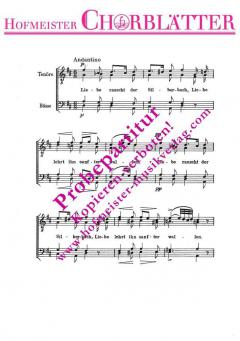 Liebe rauscht der Silberbach (Franz Schubert) 