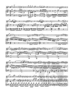 Sonaten für Klavier und Violine von Wolfgang Amadeus Mozart (Download) 