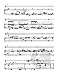 Sonaten für Violine und Klavier (Frühe Wiener Sonaten) von Wolfgang Amadeus Mozart im Alle Noten Shop kaufen