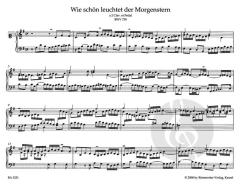 Orgelwerke, Band 1-11 von Johann Sebastian Bach im Alle Noten Shop kaufen