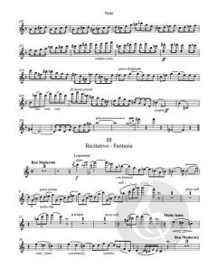 Sonate von César Franck (Download) 
