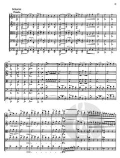 Streichquintett D 956 op. post.163 von Franz Schubert im Alle Noten Shop kaufen