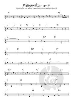 Saite an Saite mit Johann Strauss von Johann Strauss (Sohn) 
