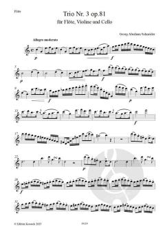 Trio Nr.3 G-Dur op. 81 von Georg Abraham Schneider 