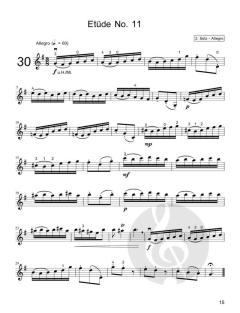 30 Übungen und Etüden zu Concerto G-Dur op. 3/3 RV310 von Antonio Vivaldi 