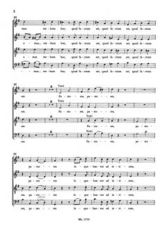Pastores loquebantur (Franz Xaver Brixi) 