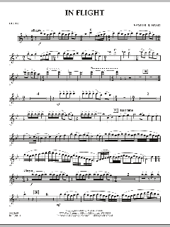 In Flight von Samuel R. Hazo (Download) 