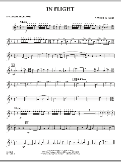 In Flight von Samuel R. Hazo (Download) 