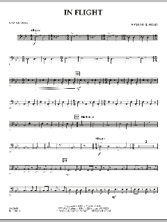 In Flight von Samuel R. Hazo (Download) 