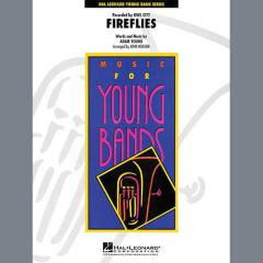 Fireflies von Adam Young (Download) 