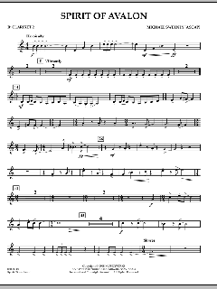 Spirit Of Avalon von Michael Sweeney (Download) 