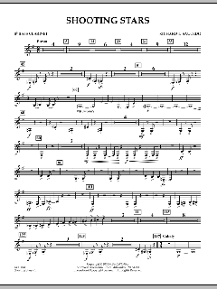 Shooting Stars von Richard L. Saucedo (Download) 