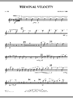 Terminal Velocity von Michael Oare (Download) 