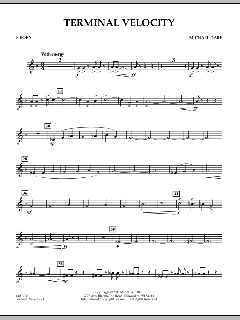 Terminal Velocity von Michael Oare (Download) 