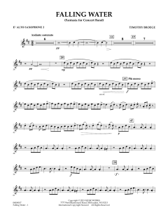 Falling Water von Timothy Broege (Download) 