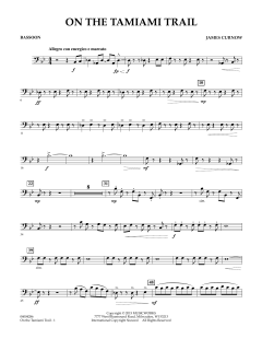 On The Tamiami Trail von James Curnow (Download) 