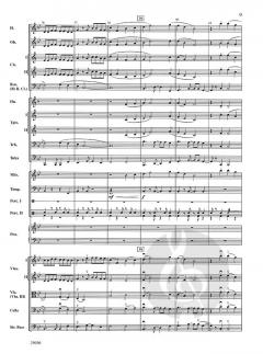The Magnificent Seven von Elmer Bernstein 