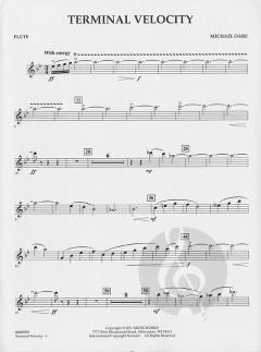 Terminal Velocity von Michael Oare (Download) 