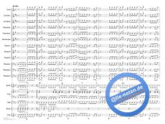 Nobody's Perfect von Hannah Montana (Download) 