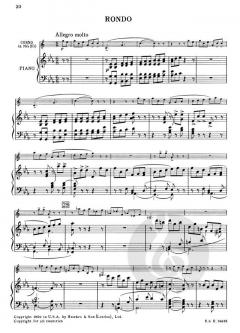 Hornkonzert Nr. 2 Es-Dur o. Op. AV 132 von Richard Strauss für Horn und Kammerorchester