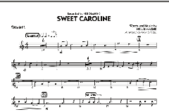 Sweet Caroline von Neil Diamond (Download) 