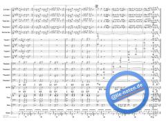 We're All In This Together von Matthew Gerrard (Download) 