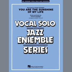 You Are The Sunshine Of My Life von Stevie Wonder (Download) 