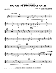 You Are The Sunshine Of My Life von Stevie Wonder (Download) 