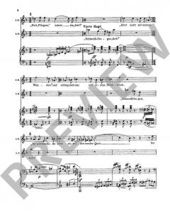 Elektra op. 58 von Richard Strauss 